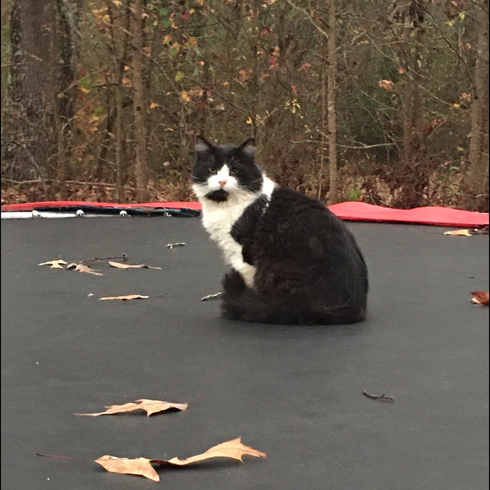 Meet your Posher, Rhonda